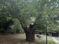 Izdavanje, kuća, 160m², Savski Venac, Beograd - image 14