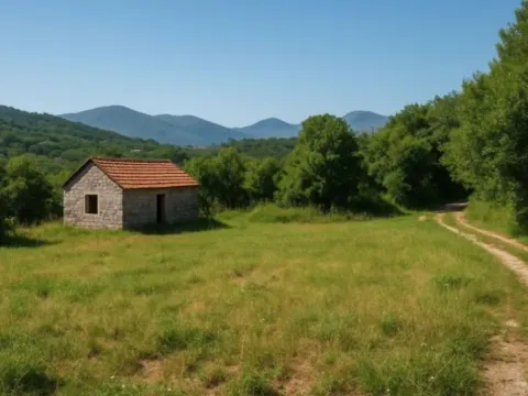 Prodaja, plac, 1200m², Herceg Novi, Crna Gora - image 3