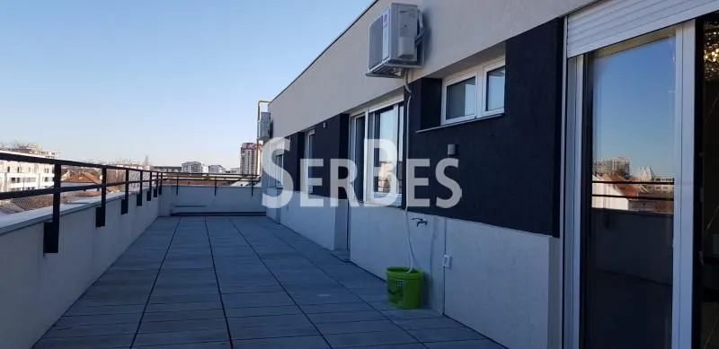 Izdavanje, stan, 217m², Telep, Novi Sad Sve Podlokacije