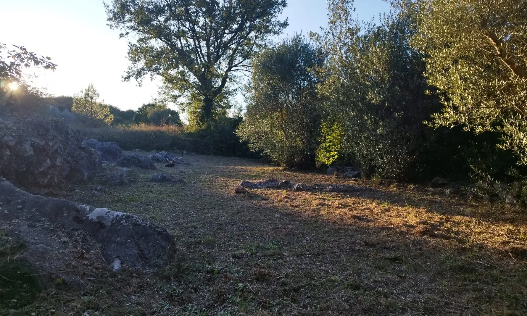 Prodaja, plac, 1100m², Kotor, Crna Gora