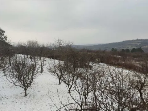 Prodaja, kuća, 270m², Niš, Srbija - image 11