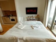 Izdavanje, stan, 30m², Savski Venac, Beograd - image 4