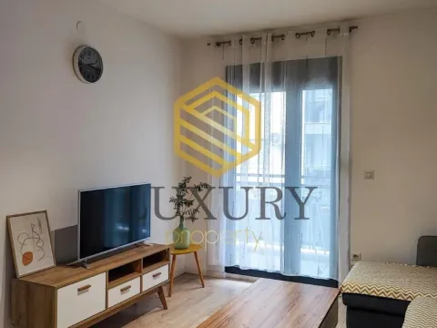Rent, one bedroom apartment, 45m², Dalmatinska ulica, Podgorica - image 2