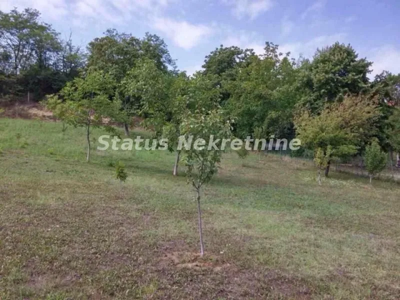 Prodaja, plac, 3800m², Sremska Kamenica, Petrovaradin
