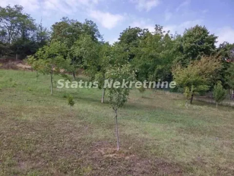 Sale, land lot, 3800m², Sremska Kamenica, Petrovaradin - image 6