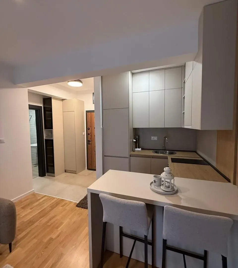 Rent, studio apartment, 26m², Zagorič, Podgorica