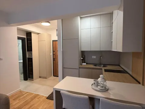 Rent, studio apartment, 26m², Zagorič, Podgorica - image 4