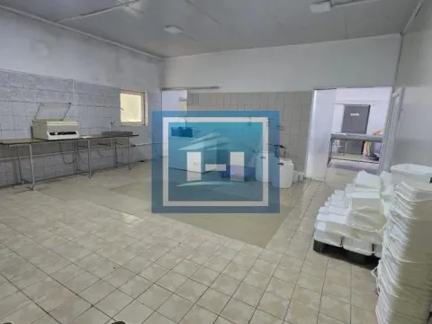 Prodaja, poslovni prostor, 482m², Vladičin Han, Srbija - image 4