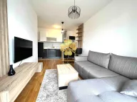 Izdavanje, jednosoban stan, 45m², Stari Aerodrom, Podgorica - image 1