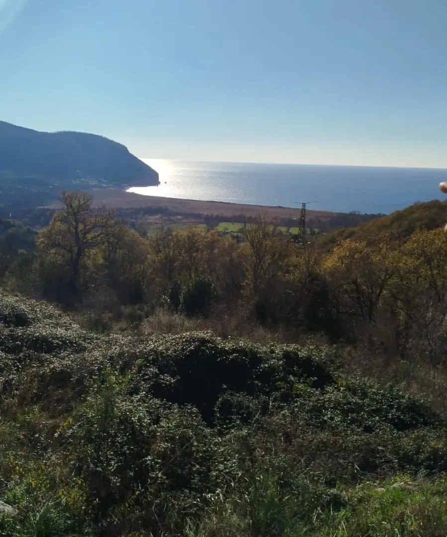 Prodaja, plac, 30000m², Buljarica, Budva