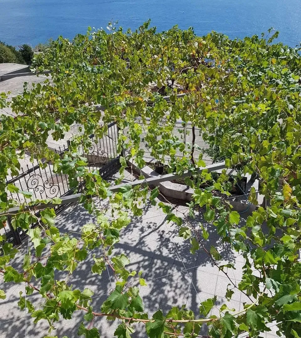 Sale, apartment, 220m², Gospoština, Budva