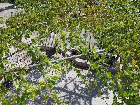 Sale, apartment, 220m², Gospoština, Budva - image 5