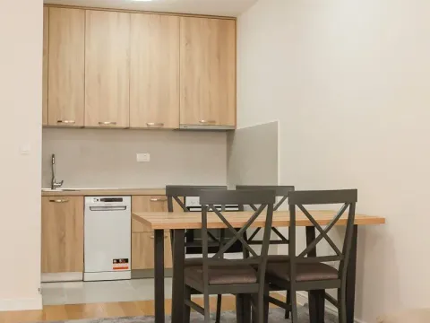 Izdavanje, jednosoban stan, 50m², Central Point, Podgorica - image 12