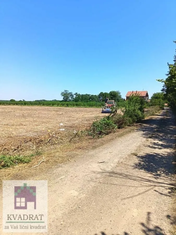 Sale, land lot, 14300m², Skela, Obrenovac
