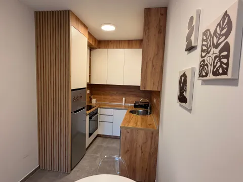 Rent, one bedroom apartment, 40m², Centar, Cetinje - image 9