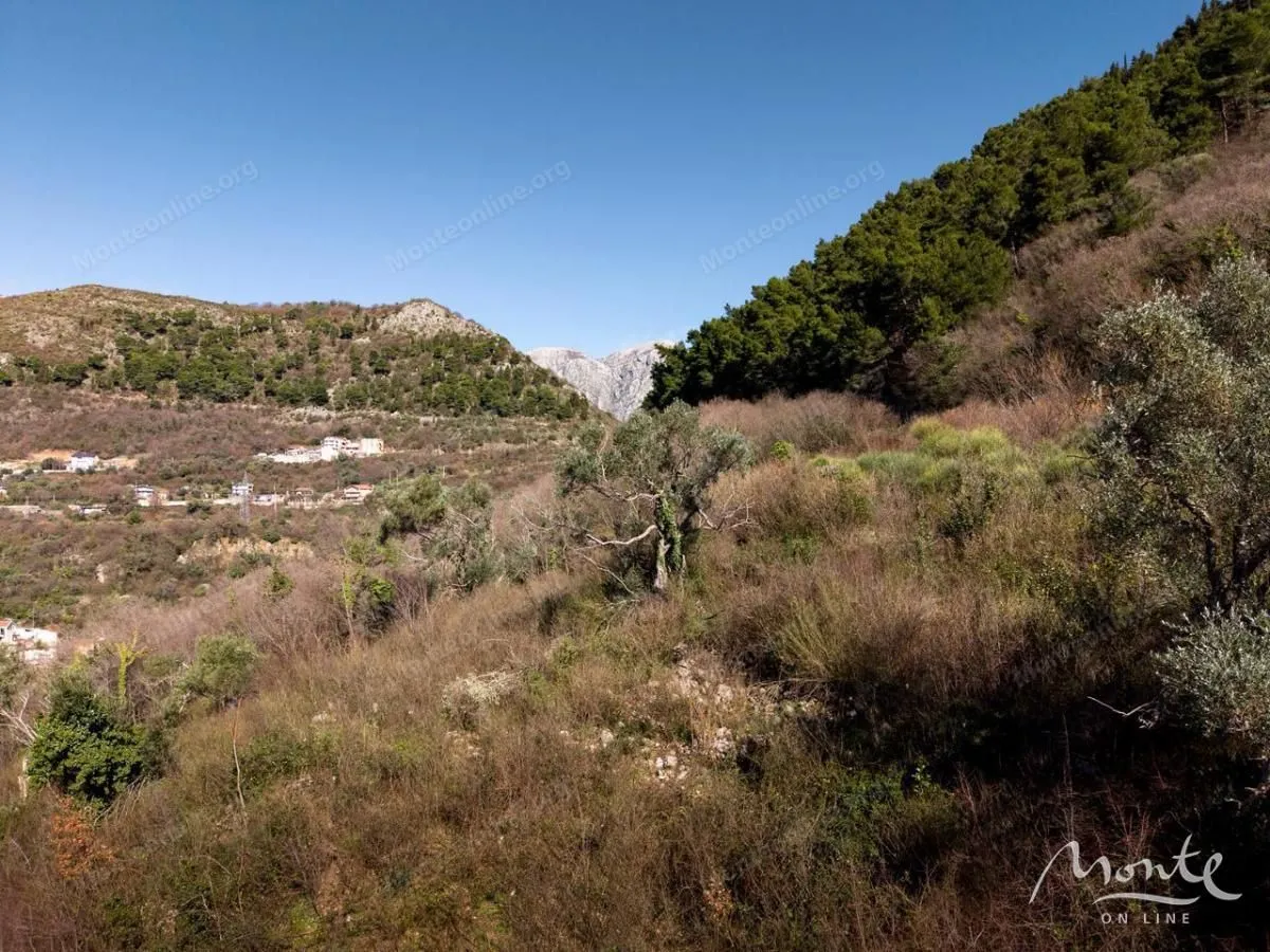 Prodaja, plac, 5520m², Dub, Kotor