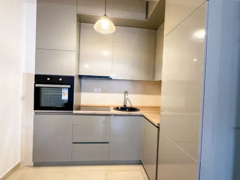 Rent, one bedroom apartment, 48m², Zabjelo, Podgorica - image 3