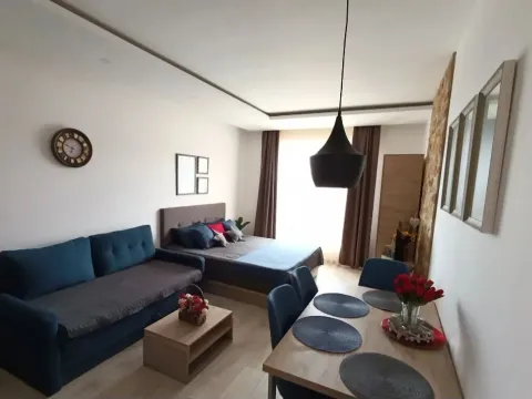 Prodaja, jednosoban stan, 28m², Kraljevi Čardaci, Kopaonik - image 15