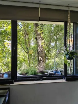 Pogled kroz veliki prozor na zeleno drveće i okolno rastinje. - image 12