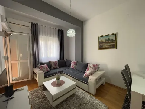 Rent, one bedroom apartment, 45m², Zabjelo, Podgorica - image 2