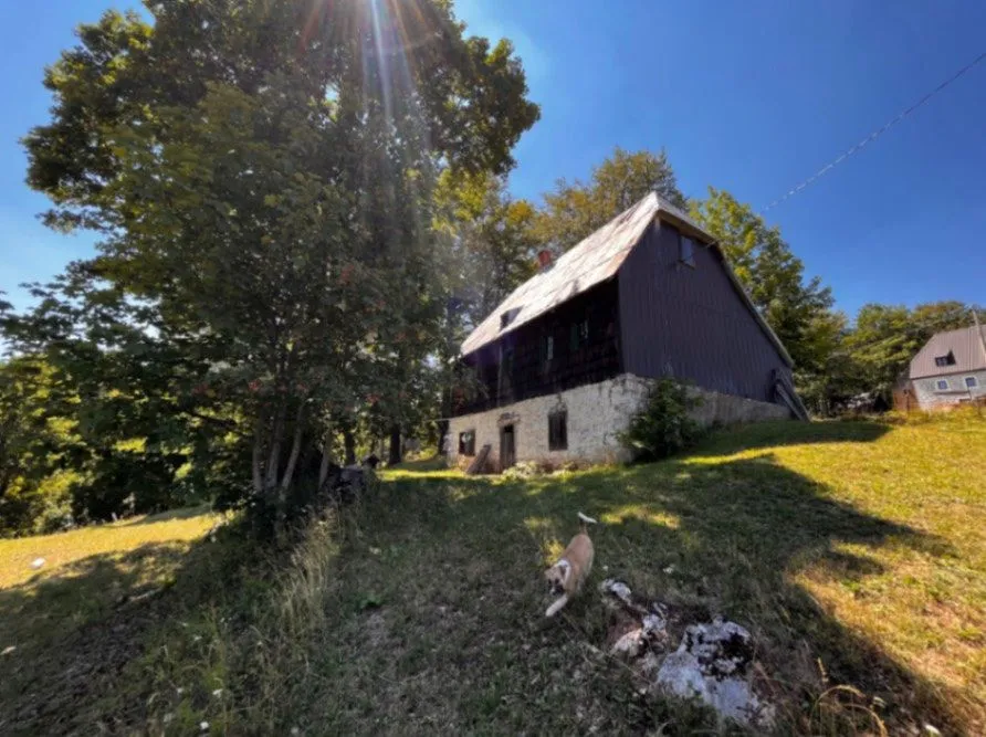 Sale, land lot, 12000m², Pašina Voda, Žabljak