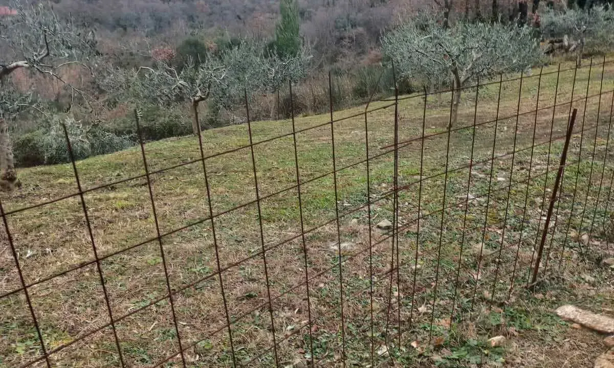 Sale, land lot, 1370m², Kotor, Crna Gora