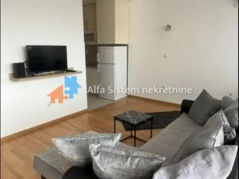 Izdavanje, dvosoban stan, 46m², Bulbulder, Zvezdara Sve Podlokacije - image 3
