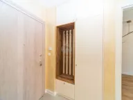 Izdavanje, jednosoban stan, 46m², Central Point, Podgorica - image 12