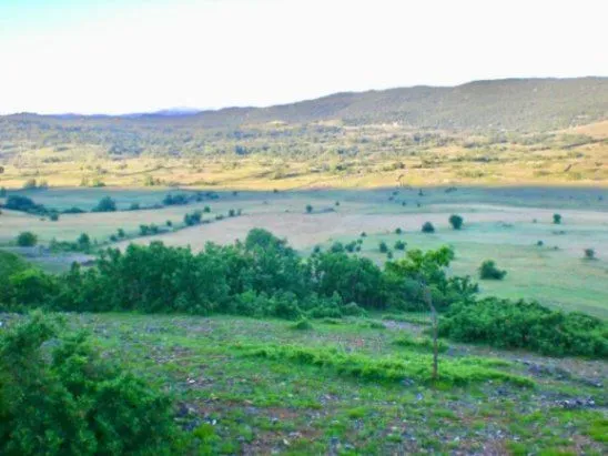 Prodaja, plac, 16106m², Velimlje, Nikšić