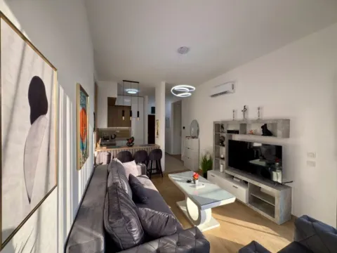 Stan-na-dan, jednosoban stan, 50m², Centar, Bar - image 8