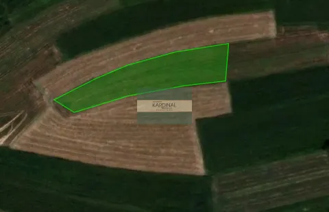 Prodaja, plac, 11737m², Lapovo, Srbija - image 2