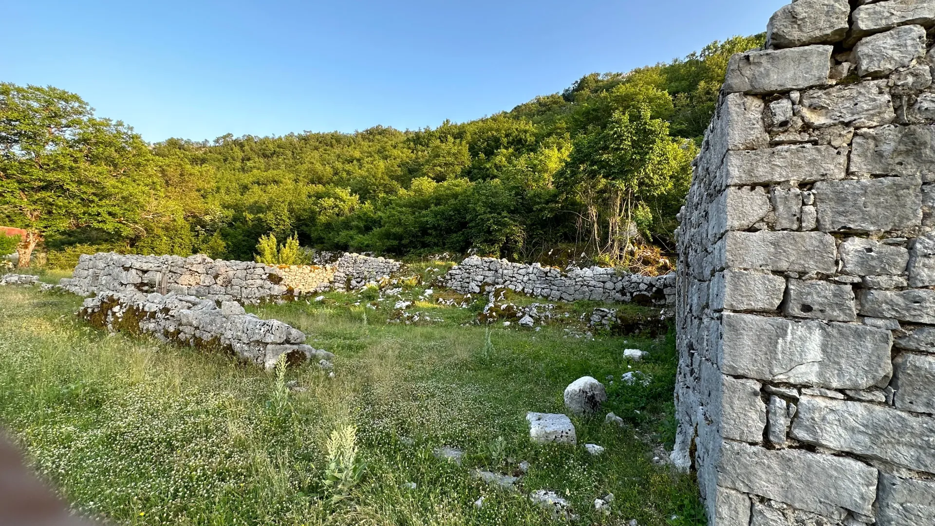 Prodaja, plac, 12000m², Grahovo, Nikšić