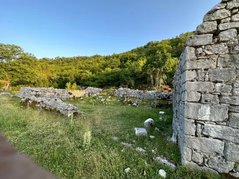 Prodaja, plac, 12000m², Grahovo, Nikšić - image 9