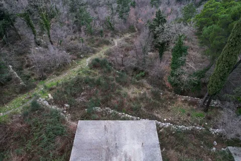 Pogled sa betonske ploče na pošumljeno zemljište. - image 16