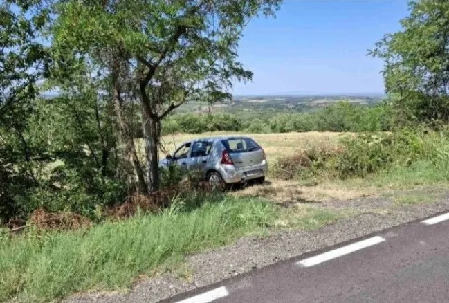 Prodaja, plac, 10800m², Baničina, Smederevska Palanka