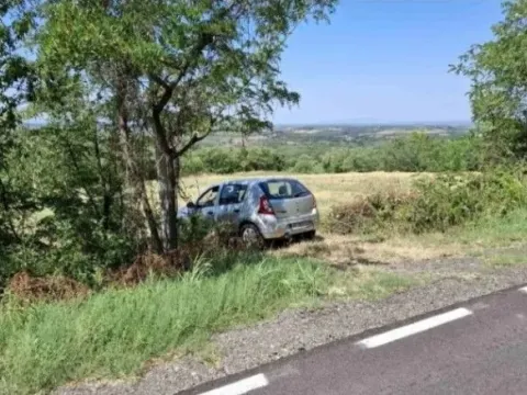 Sale, land lot, 10800m², Baničina, Smederevska Palanka