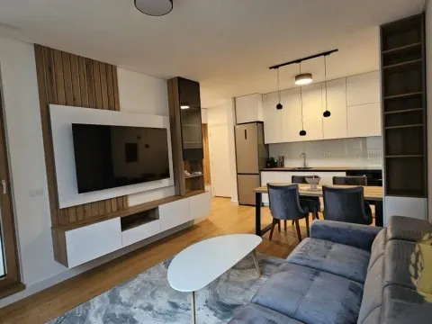 Izdavanje, dvosoban stan, 47m², Vračar Sve Podlokacije, Beograd - image 2