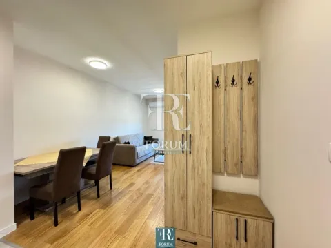 Izdavanje, jednosoban stan, 40m², Central Point, Podgorica - image 6