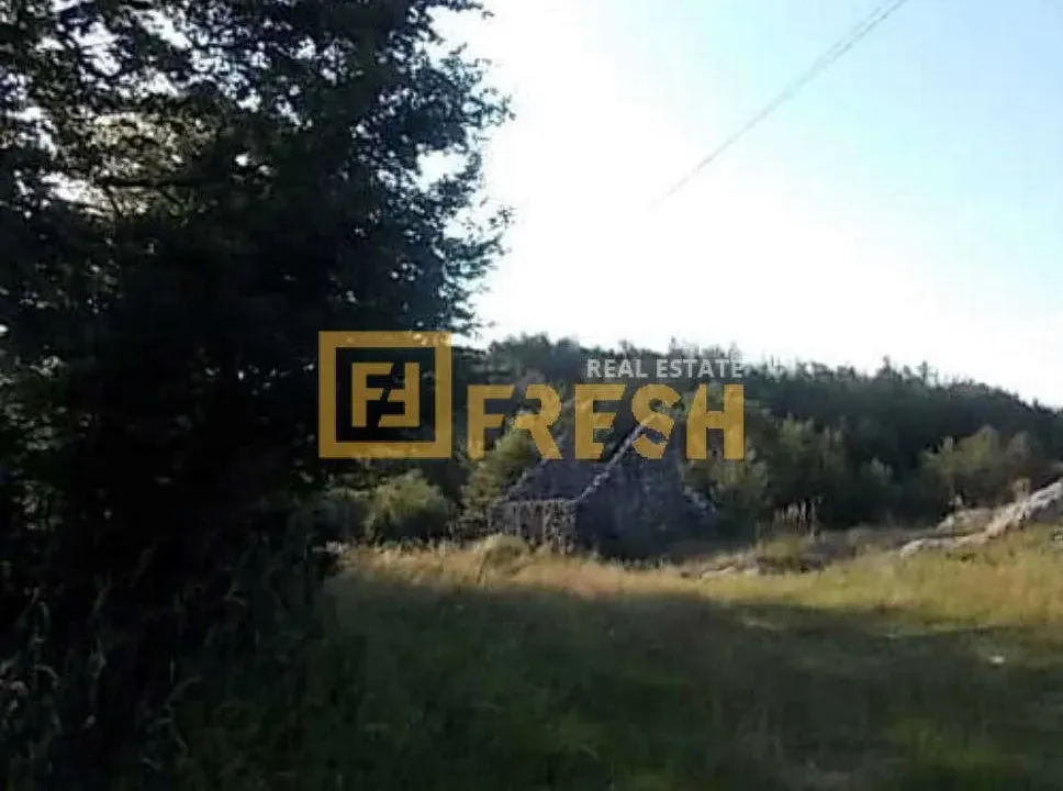 Sale, land lot, 55000m², Cetinje, Crna Gora