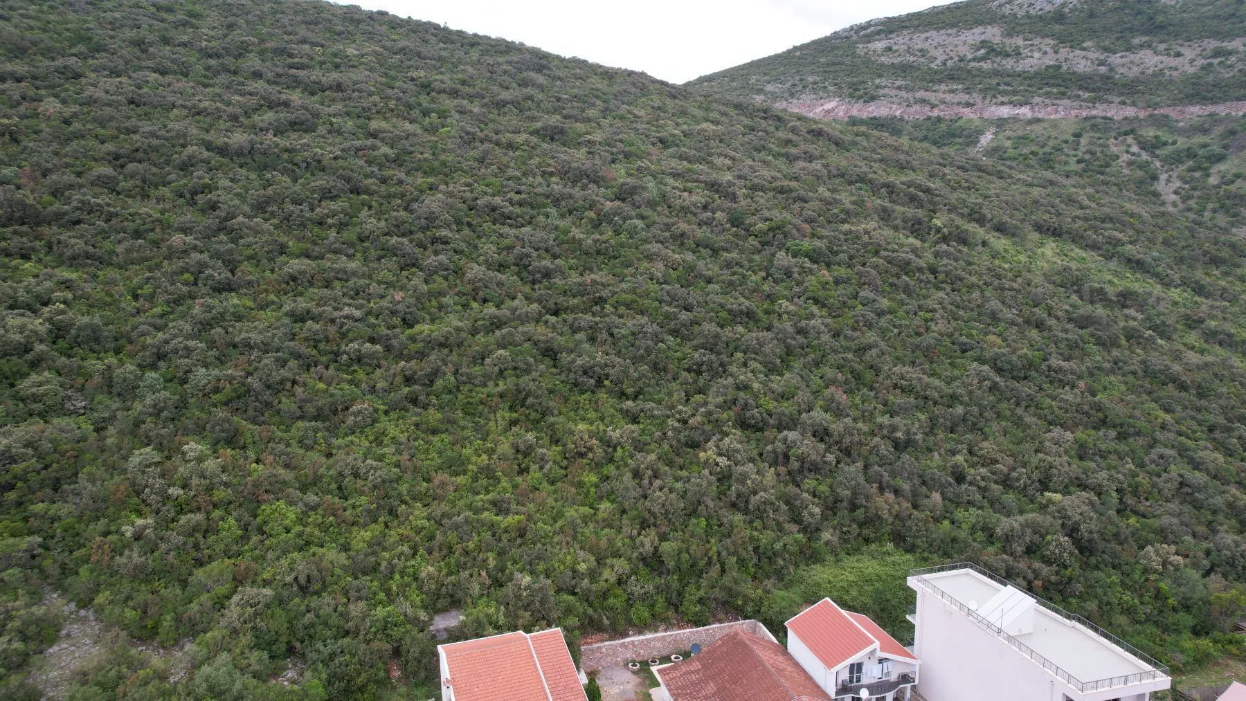 Prodaja, plac, 3585m², Krimovica, Kotor