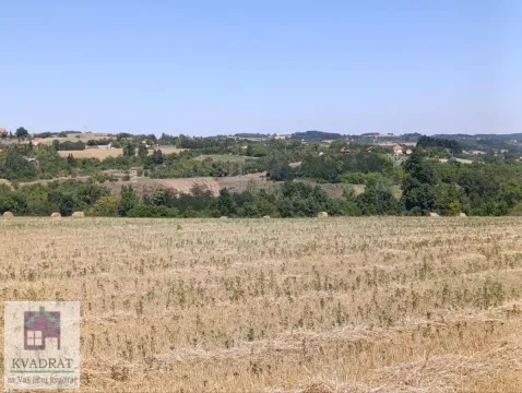 Prodaja, plac, 18900m², Jasenak, Obrenovac - image 3