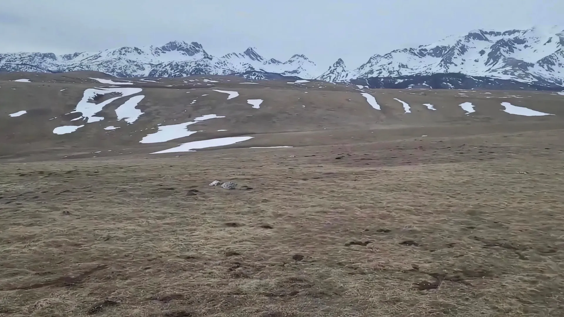 Prodaja, plac, 110000m², Novakovići, Žabljak