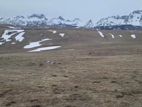 Prodaja, plac, 110000m², Novakovići, Žabljak - image 2