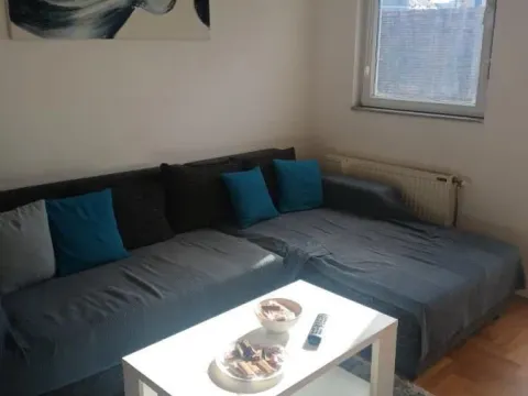 Izdavanje, dvosoban stan, 41m², Centar, Novi Sad - image 2