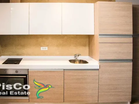 Izdavanje, jednosoban stan, 46m², Centar, Podgorica - image 3