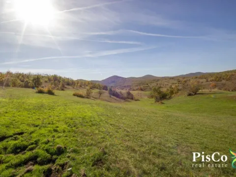 Prodaja, kuća, Nikšić, Crna Gora - image 5