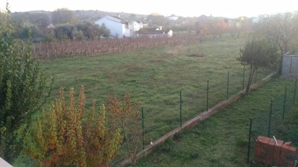View of the fenced grassy plot and surrounding greenery.