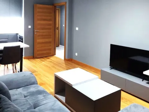 Rent, apartment, 44m², New City, Podgorica - image 2