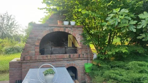 Zidani roštilj u dvorištu okružen zelenilom. - image 30