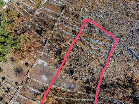 Prodaja, plac, 2527m², Budva, Crna Gora - image 9